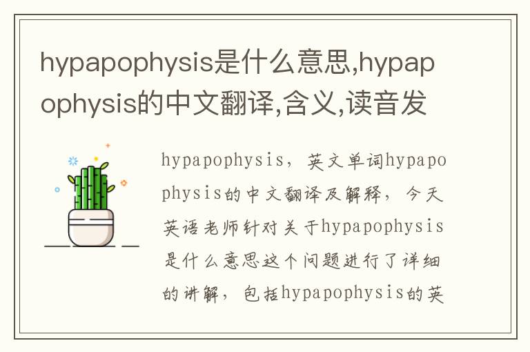 hypapophysis是什么意思,hypapophysis的中文翻译,含义,读音发音,用法,造句,参考例句