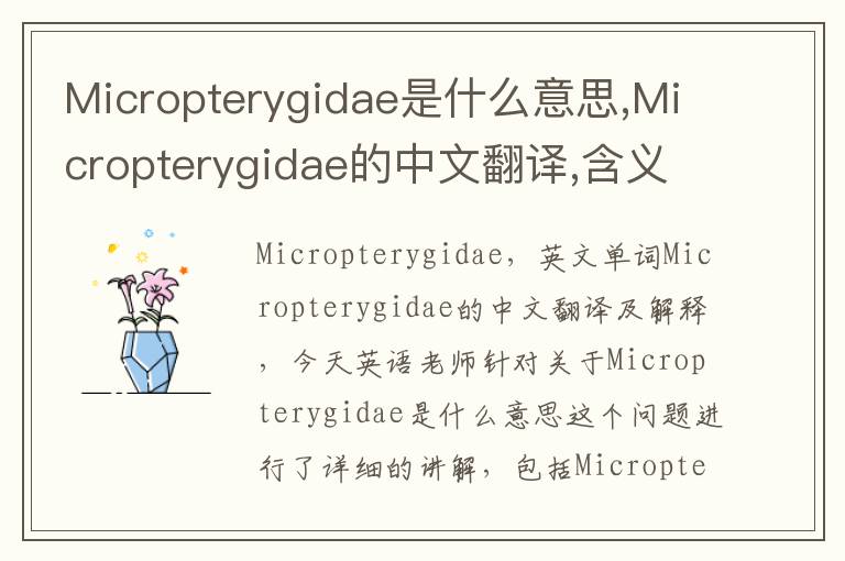 Micropterygidae是什么意思,Micropterygidae的中文翻译,含义,读音发音,用法,造句,参考例句