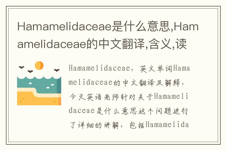 Hamamelidaceae是什么意思,Hamamelidaceae的中文翻译,含义,读音发音,用法,造句,参考例句