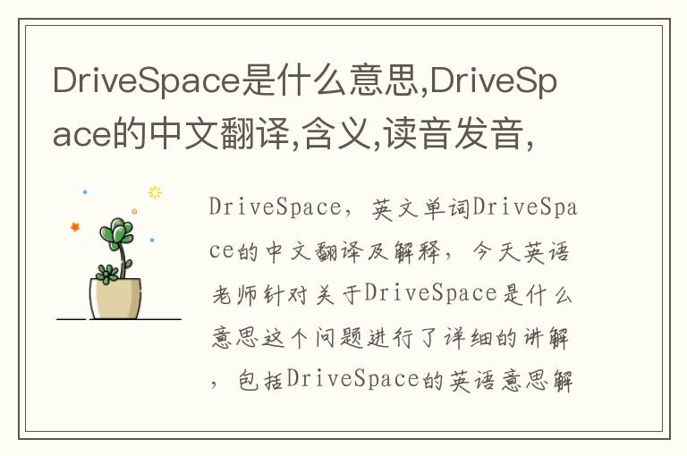 DriveSpace是什么意思,DriveSpace的中文翻译,含义,读音发音,用法,造句,参考例句