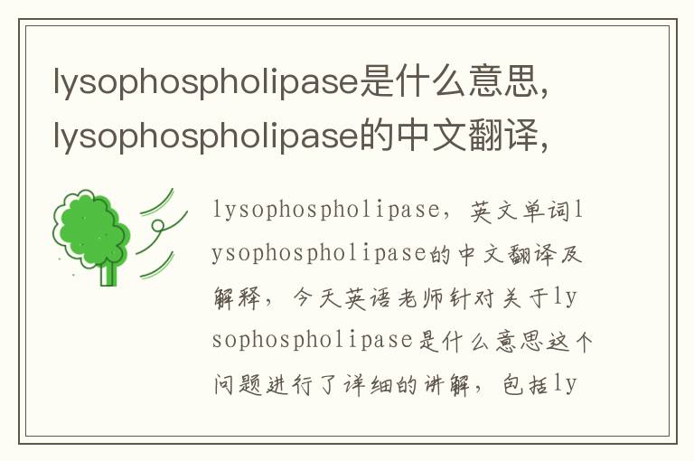 lysophospholipase是什么意思,lysophospholipase的中文翻译,含义,读音发音,用法,造句,参考例句