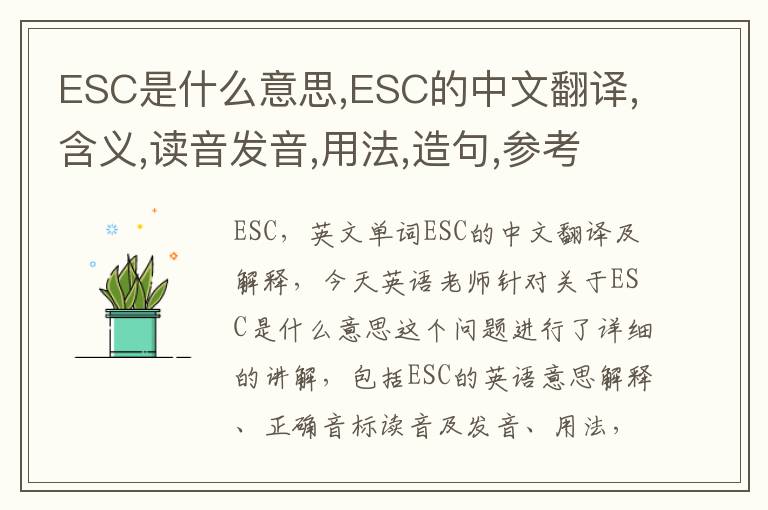 ESC是什么意思,ESC的中文翻译,含义,读音发音,用法,造句,参考例句