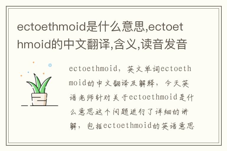 ectoethmoid是什么意思,ectoethmoid的中文翻译,含义,读音发音,用法,造句,参考例句