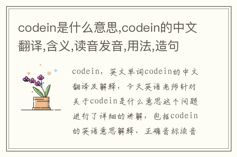 codein是什么意思,codein的中文翻译,含义,读音发音,用法,造句,参考例句