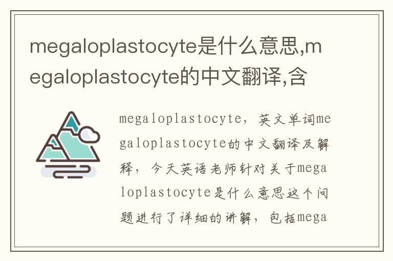 megaloplastocyte是什么意思,megaloplastocyte的中文翻译,含义,读音发音,用法,造句,参考例句