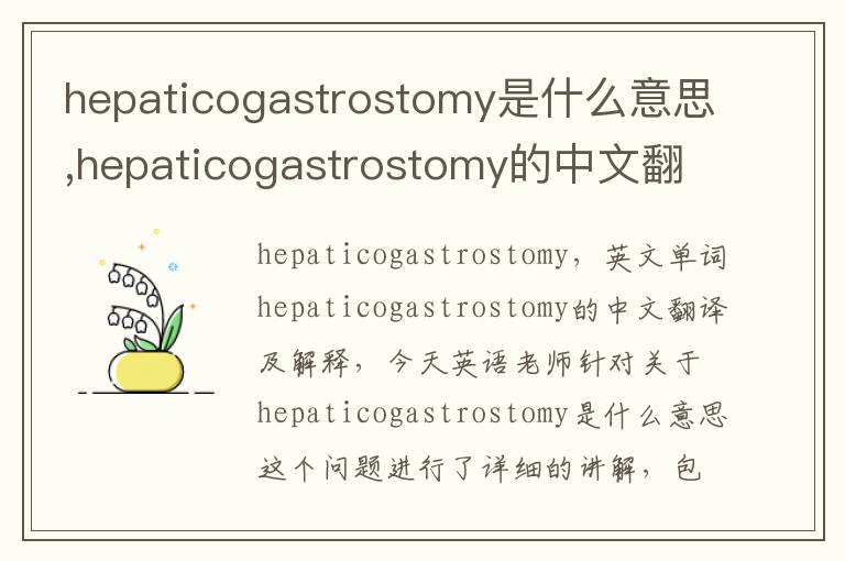 hepaticogastrostomy是什么意思,hepaticogastrostomy的中文翻译,含义,读音发音,用法,造句,参考例句