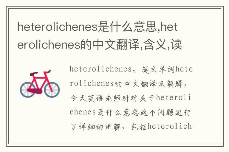 heterolichenes是什么意思,heterolichenes的中文翻译,含义,读音发音,用法,造句,参考例句