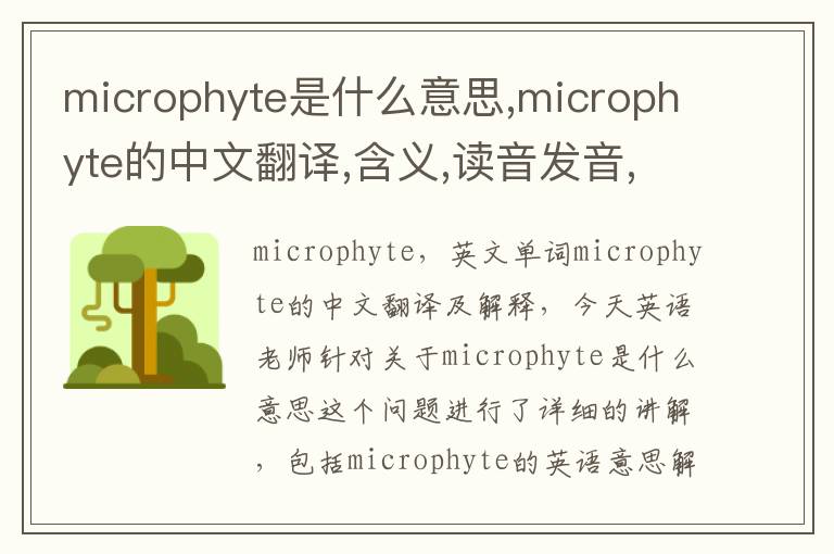 microphyte是什么意思,microphyte的中文翻译,含义,读音发音,用法,造句,参考例句