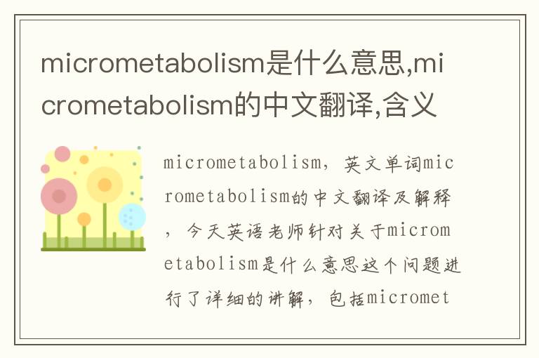 micrometabolism是什么意思,micrometabolism的中文翻译,含义,读音发音,用法,造句,参考例句