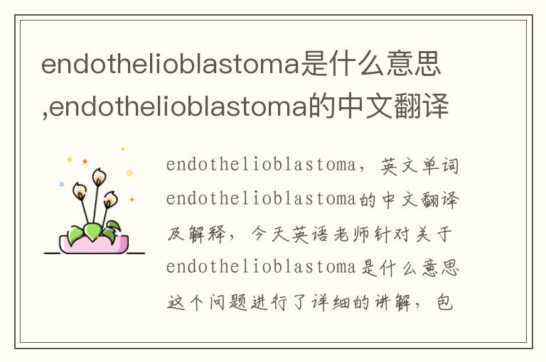 endothelioblastoma是什么意思,endothelioblastoma的中文翻译,含义,读音发音,用法,造句,参考例句