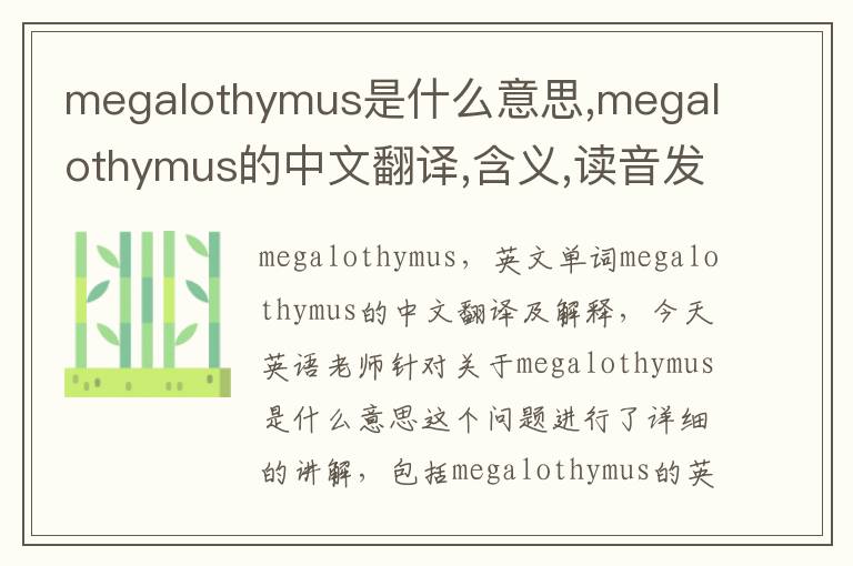 megalothymus是什么意思,megalothymus的中文翻译,含义,读音发音,用法,造句,参考例句