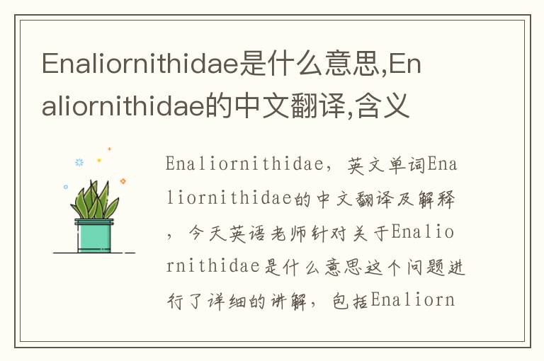 Enaliornithidae是什么意思,Enaliornithidae的中文翻译,含义,读音发音,用法,造句,参考例句