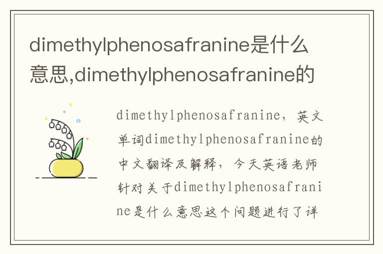 dimethylphenosafranine是什么意思,dimethylphenosafranine的中文翻译,含义,读音发音,用法,造句,参考例句