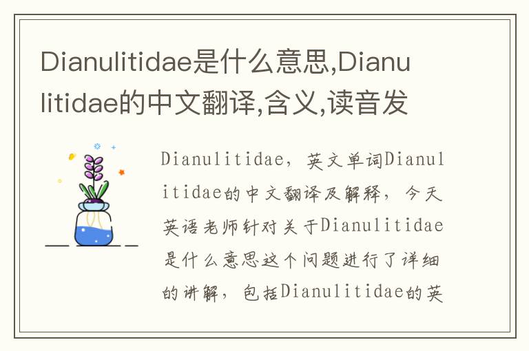 Dianulitidae是什么意思,Dianulitidae的中文翻译,含义,读音发音,用法,造句,参考例句