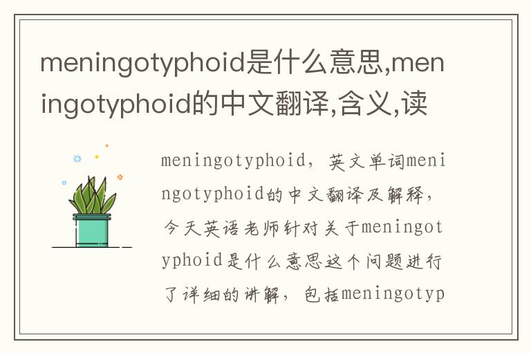 meningotyphoid是什么意思,meningotyphoid的中文翻译,含义,读音发音,用法,造句,参考例句