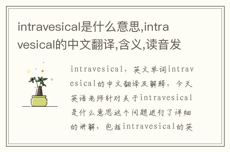 intravesical是什么意思,intravesical的中文翻译,含义,读音发音,用法,造句,参考例句