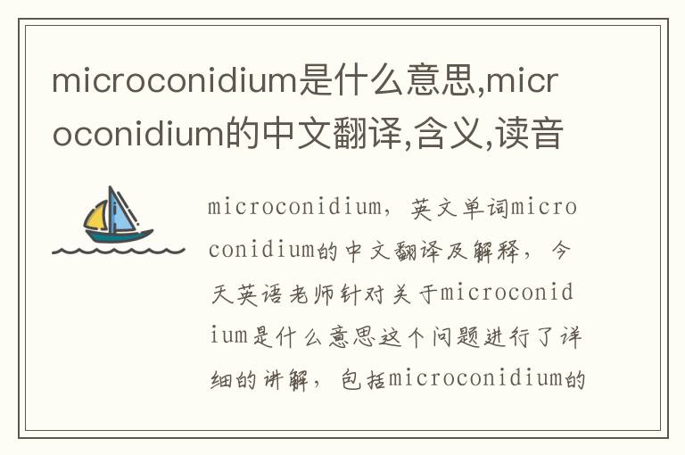 microconidium是什么意思,microconidium的中文翻译,含义,读音发音,用法,造句,参考例句