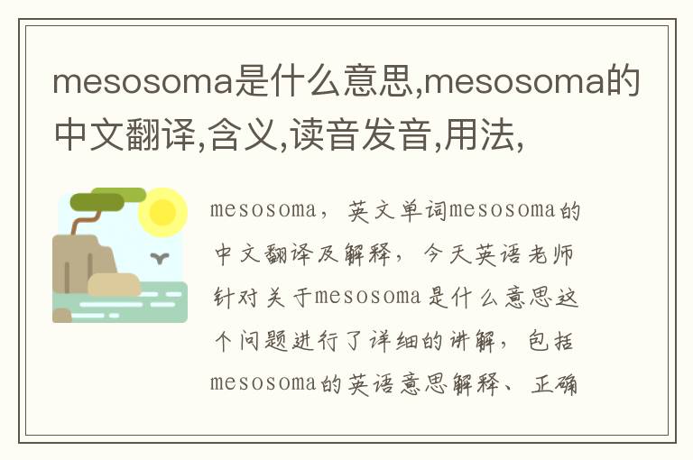 mesosoma是什么意思,mesosoma的中文翻译,含义,读音发音,用法,造句,参考例句