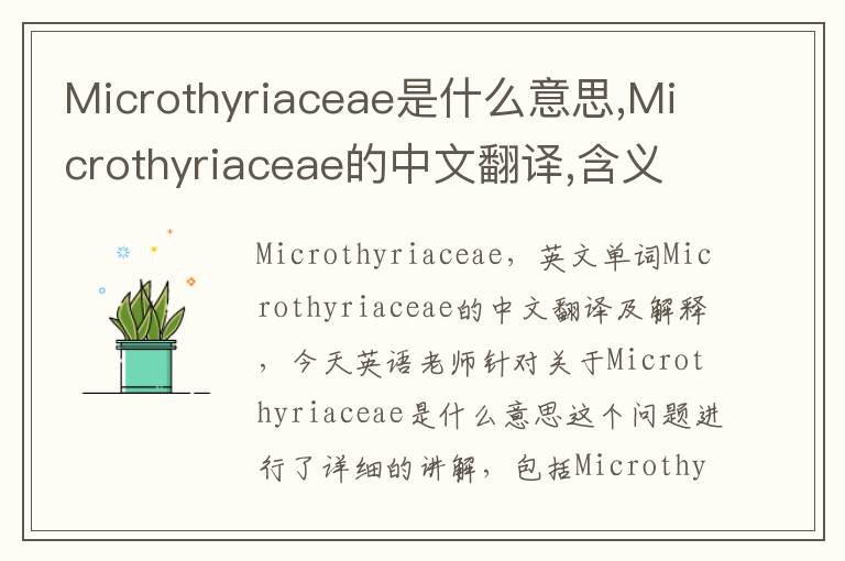 Microthyriaceae是什么意思,Microthyriaceae的中文翻译,含义,读音发音,用法,造句,参考例句