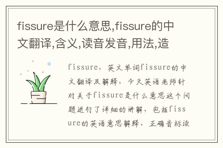 fissure是什么意思,fissure的中文翻译,含义,读音发音,用法,造句,参考例句