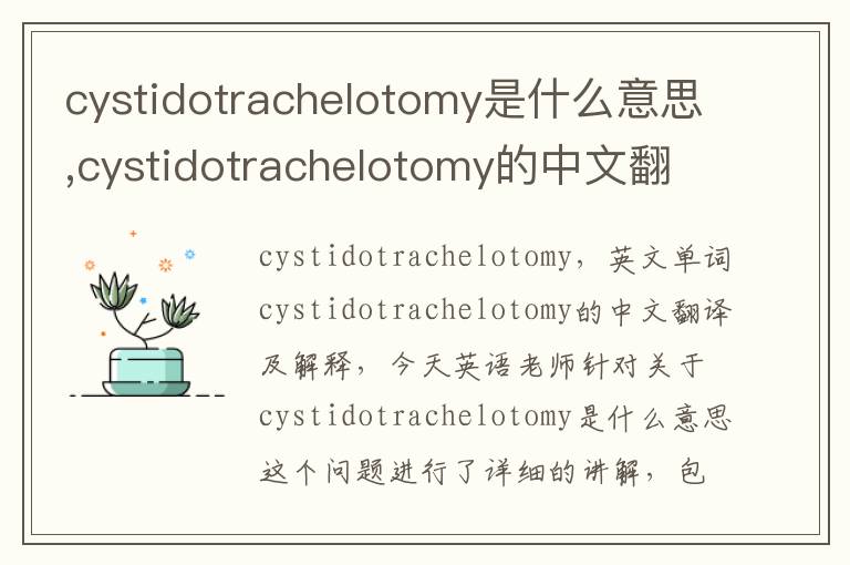 cystidotrachelotomy是什么意思,cystidotrachelotomy的中文翻译,含义,读音发音,用法,造句,参考例句