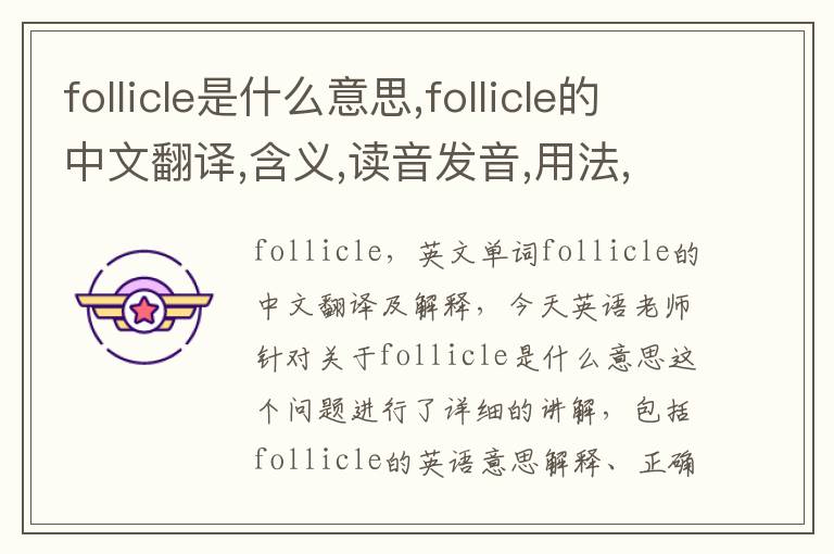 follicle是什么意思,follicle的中文翻译,含义,读音发音,用法,造句,参考例句