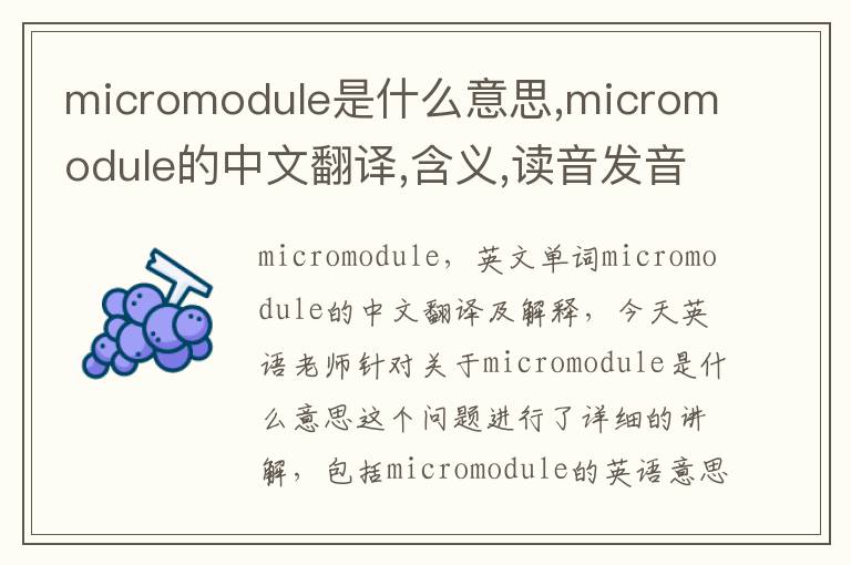 micromodule是什么意思,micromodule的中文翻译,含义,读音发音,用法,造句,参考例句