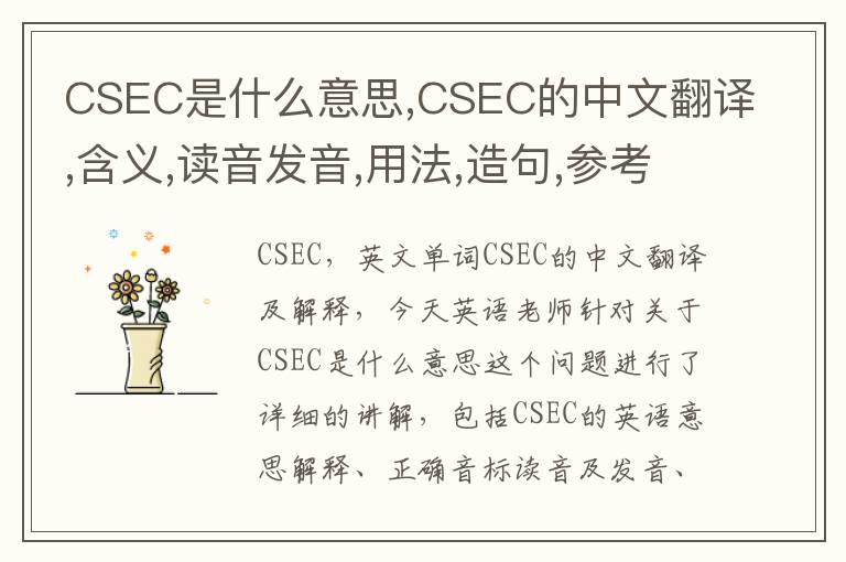 CSEC是什么意思,CSEC的中文翻译,含义,读音发音,用法,造句,参考例句