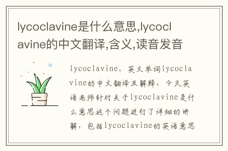 lycoclavine是什么意思,lycoclavine的中文翻译,含义,读音发音,用法,造句,参考例句