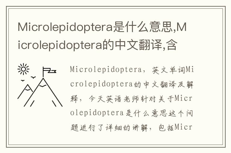 Microlepidoptera是什么意思,Microlepidoptera的中文翻译,含义,读音发音,用法,造句,参考例句