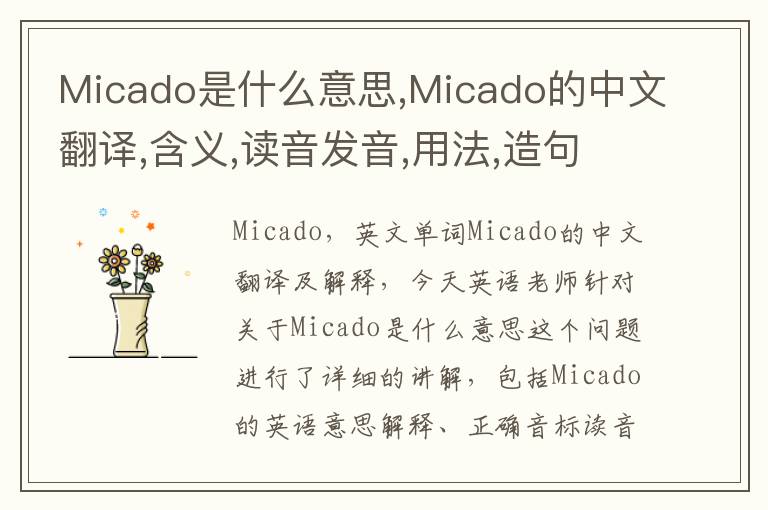 Micado是什么意思,Micado的中文翻译,含义,读音发音,用法,造句,参考例句