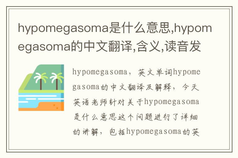 hypomegasoma是什么意思,hypomegasoma的中文翻译,含义,读音发音,用法,造句,参考例句