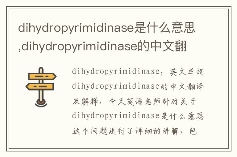 dihydropyrimidinase是什么意思,dihydropyrimidinase的中文翻译,含义,读音发音,用法,造句,参考例句