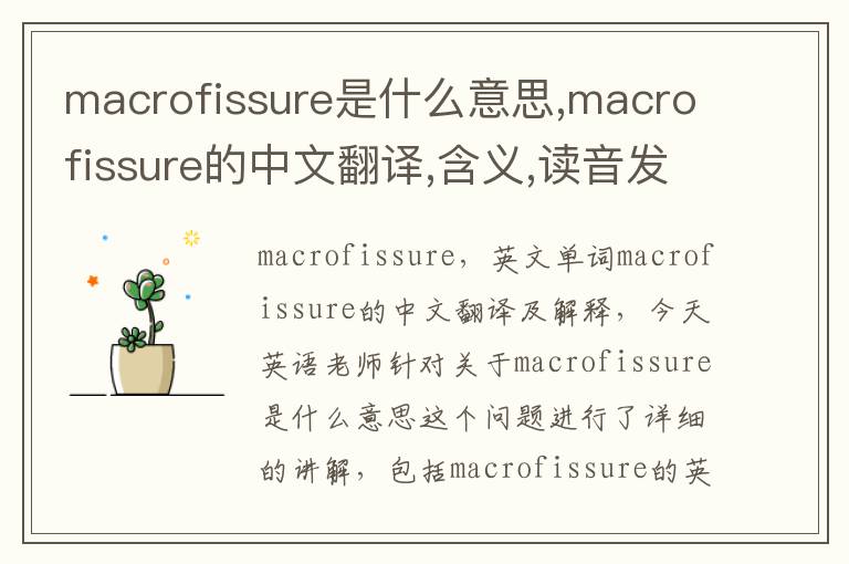 macrofissure是什么意思,macrofissure的中文翻译,含义,读音发音,用法,造句,参考例句