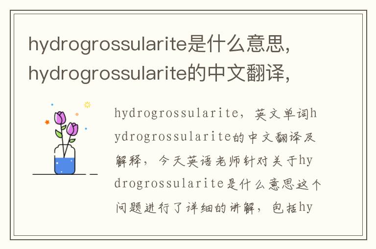 hydrogrossularite是什么意思,hydrogrossularite的中文翻译,含义,读音发音,用法,造句,参考例句