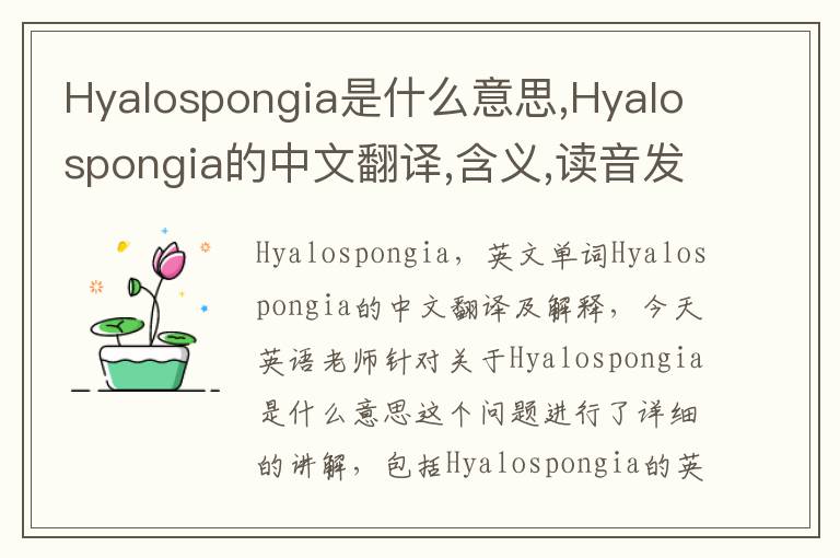 Hyalospongia是什么意思,Hyalospongia的中文翻译,含义,读音发音,用法,造句,参考例句