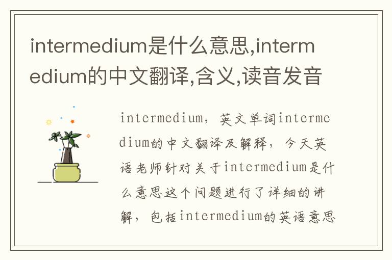 intermedium是什么意思,intermedium的中文翻译,含义,读音发音,用法,造句,参考例句