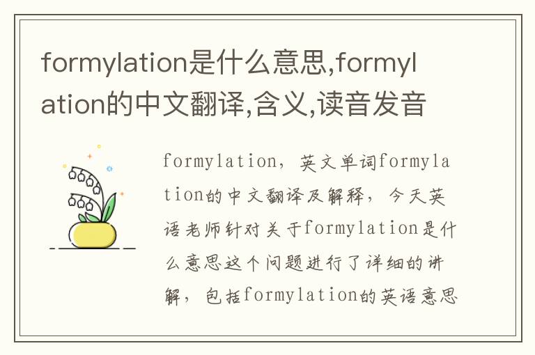 formylation是什么意思,formylation的中文翻译,含义,读音发音,用法,造句,参考例句