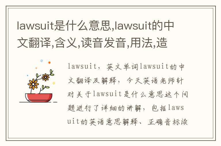 lawsuit是什么意思,lawsuit的中文翻译,含义,读音发音,用法,造句,参考例句