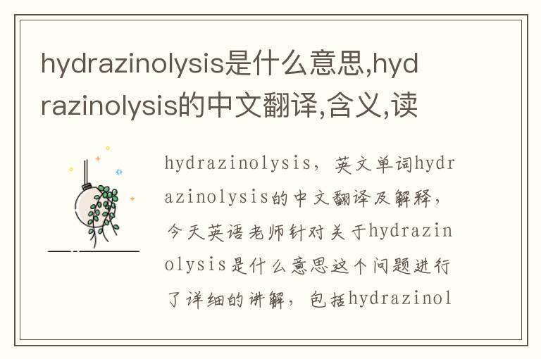 hydrazinolysis是什么意思,hydrazinolysis的中文翻译,含义,读音发音,用法,造句,参考例句