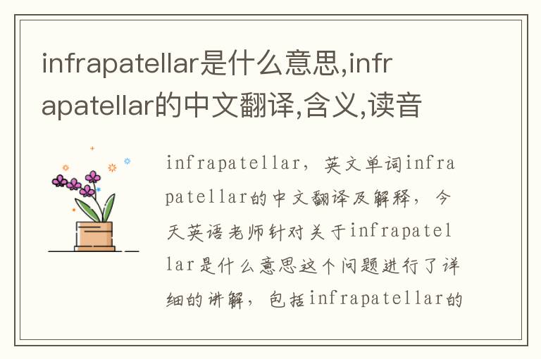 infrapatellar是什么意思,infrapatellar的中文翻译,含义,读音发音,用法,造句,参考例句