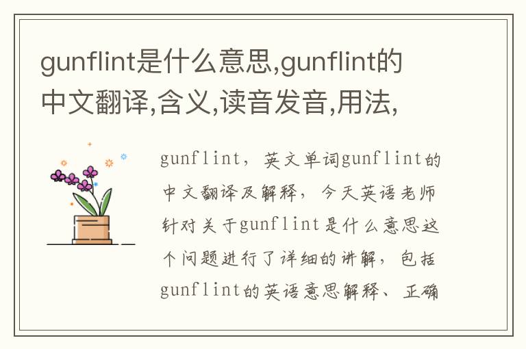 gunflint是什么意思,gunflint的中文翻译,含义,读音发音,用法,造句,参考例句