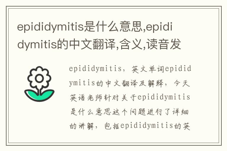 epididymitis是什么意思,epididymitis的中文翻译,含义,读音发音,用法,造句,参考例句