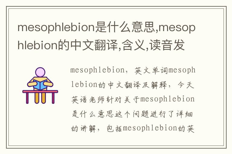 mesophlebion是什么意思,mesophlebion的中文翻译,含义,读音发音,用法,造句,参考例句