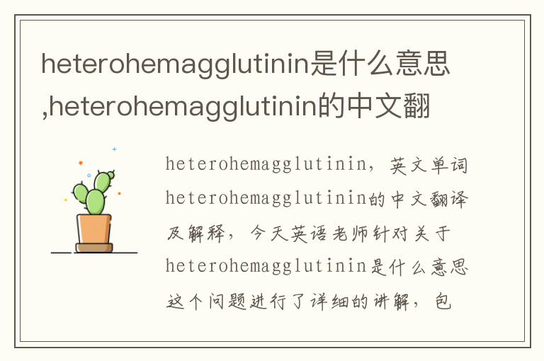 heterohemagglutinin是什么意思,heterohemagglutinin的中文翻译,含义,读音发音,用法,造句,参考例句