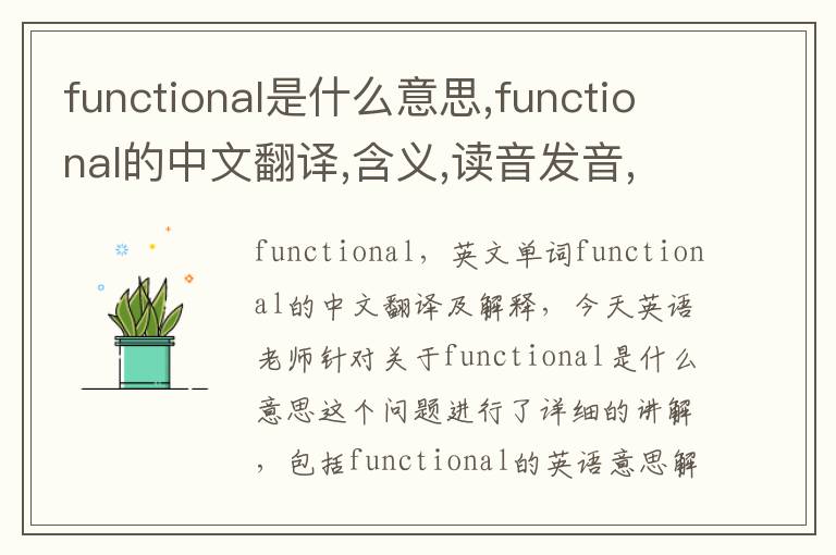 functional是什么意思,functional的中文翻译,含义,读音发音,用法,造句,参考例句