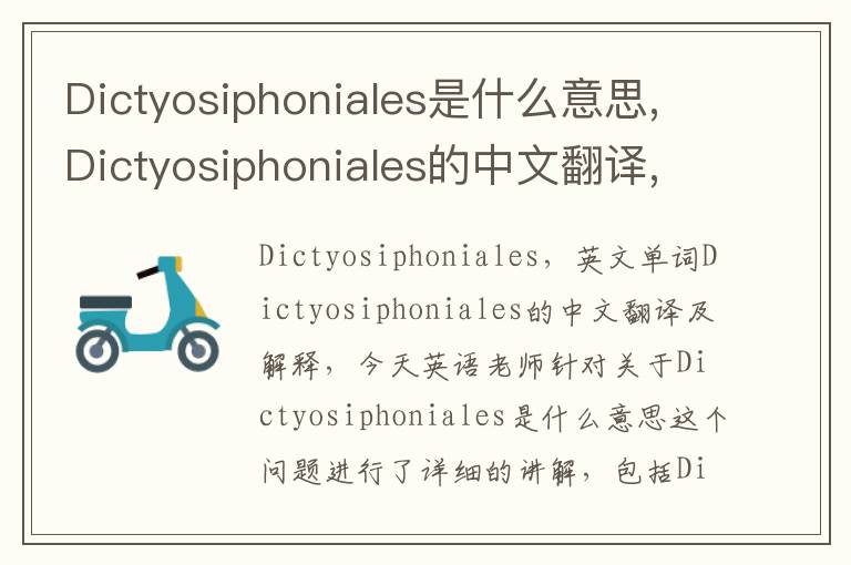 Dictyosiphoniales是什么意思,Dictyosiphoniales的中文翻译,含义,读音发音,用法,造句,参考例句