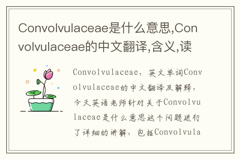 Convolvulaceae是什么意思,Convolvulaceae的中文翻译,含义,读音发音,用法,造句,参考例句