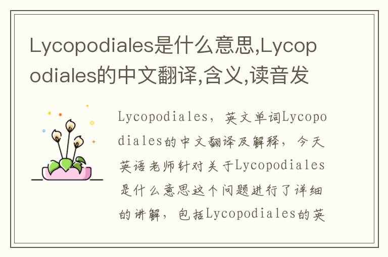 Lycopodiales是什么意思,Lycopodiales的中文翻译,含义,读音发音,用法,造句,参考例句