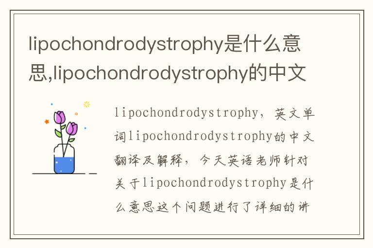 lipochondrodystrophy是什么意思,lipochondrodystrophy的中文翻译,含义,读音发音,用法,造句,参考例句